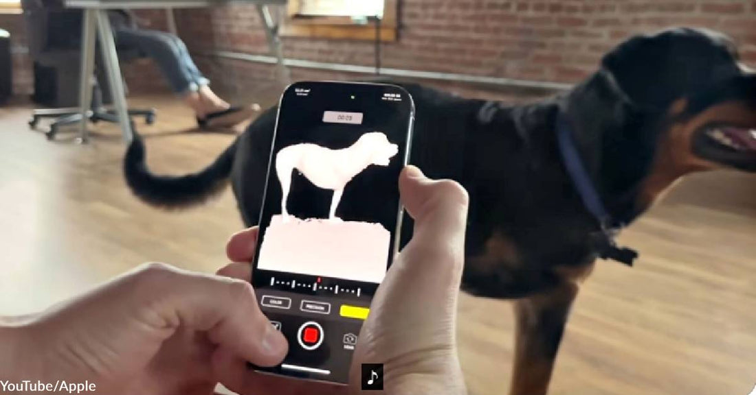 Adorable Apple Campaign Starring "The Invincibles" Features Dogs & Their Prostheses