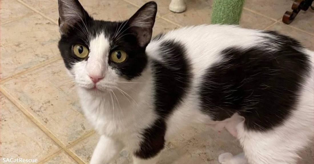 Affectionate & Loving Winnie Wants to Hook Up for a Meet & Greet