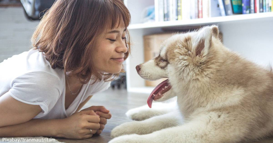 The "Long-Lasting Benefits" of Petting Dogs Extend to Non-Dog Owners & Can Last Months