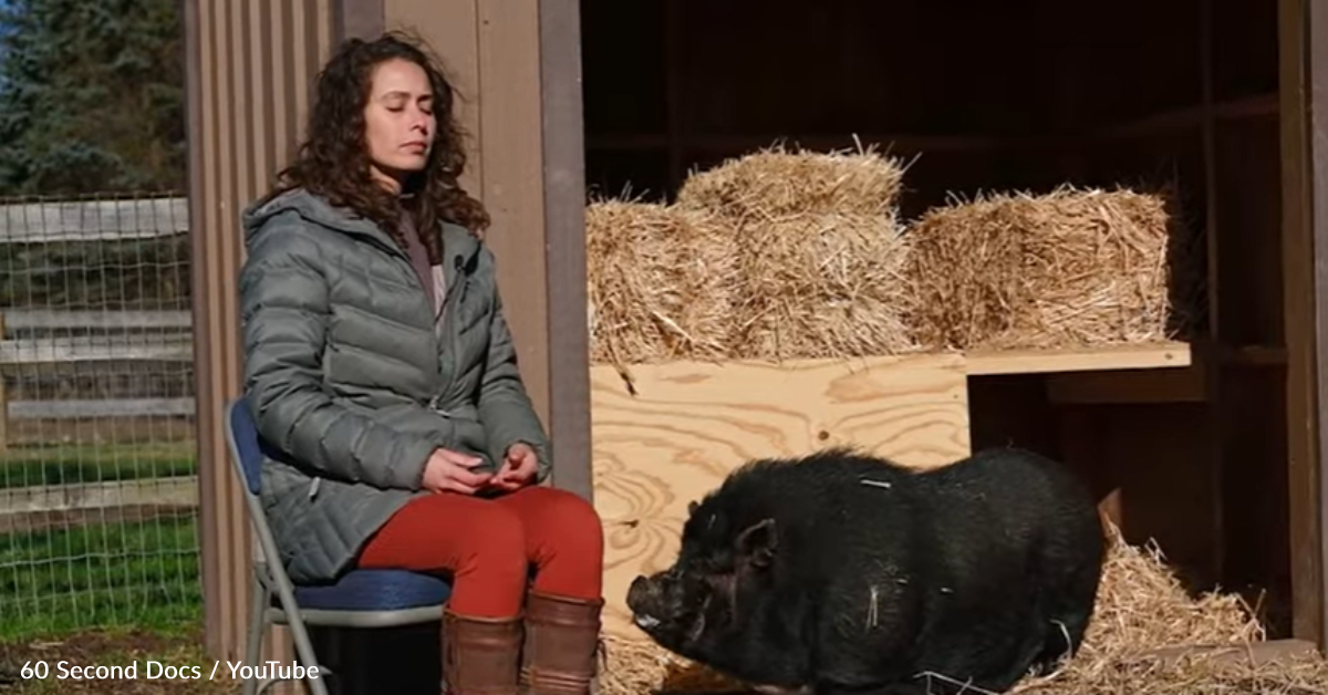 Pet Psychic Near Me Discover the Magic of Animal Communication Pet Psychic Near Me Discover the Magic of Animal Communication