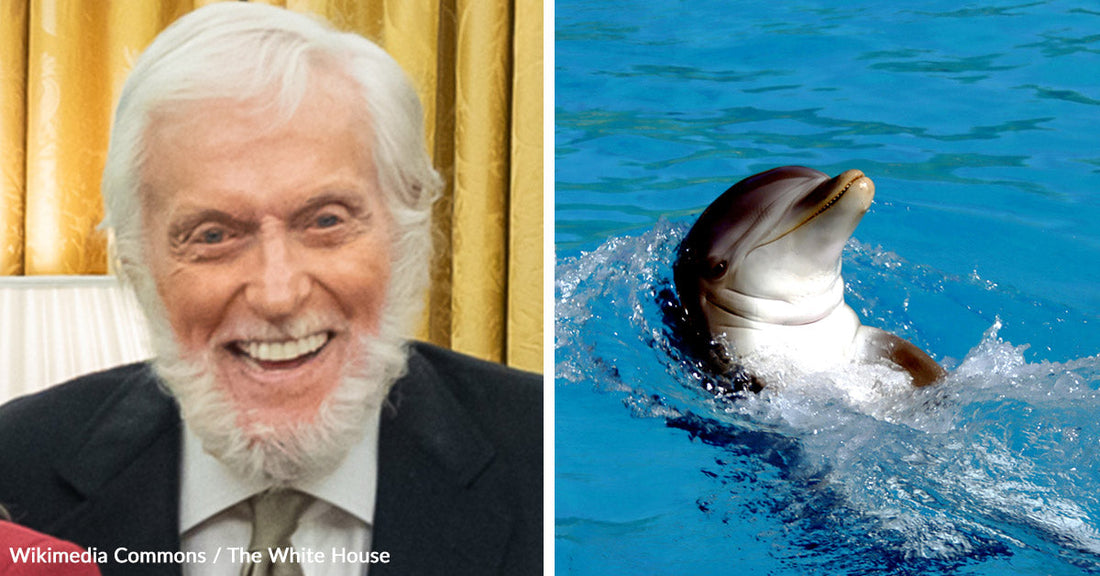 A Pod of Porpoises Once Saved Dick Van Dyke’s Life After Surfing Mishap