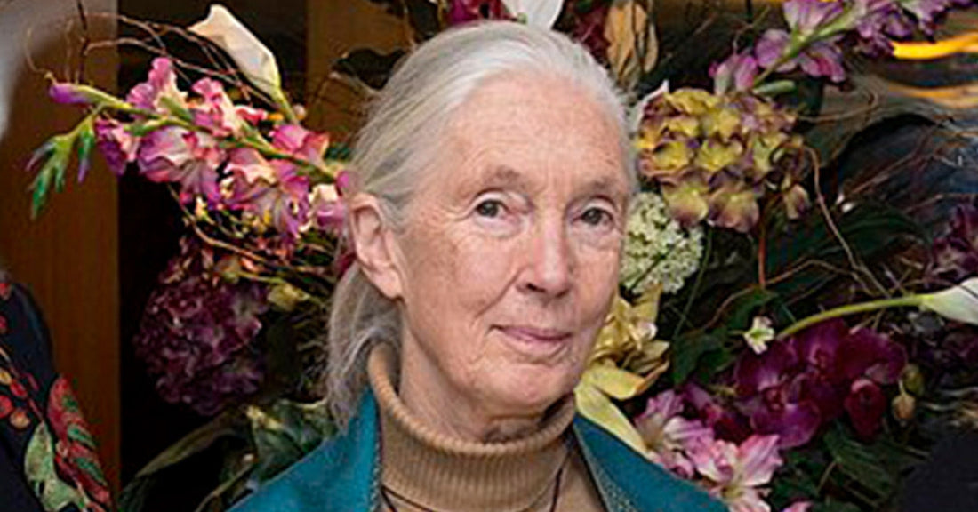 Head-and-shoulders portrait of Jane Goodall with long white hair pulled back, wearing a teal shawl, standing in front of colorful flowers.