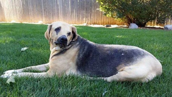 Rescued again, and again