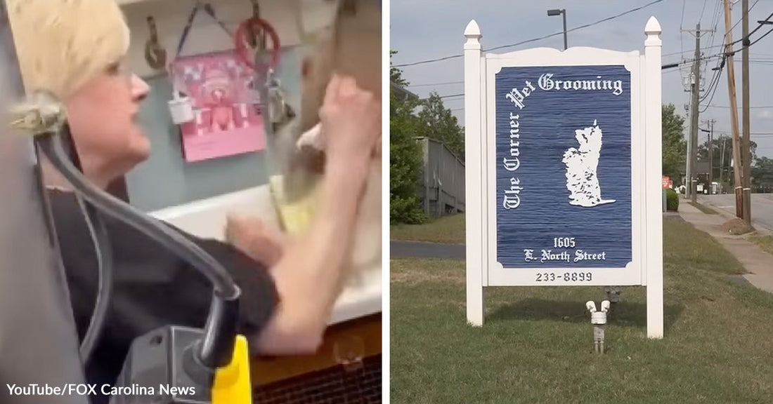 Side-by-side image showing a woman grooming a small dog inside a shop on the left and The Corner Pet Grooming roadside business sign on the right.