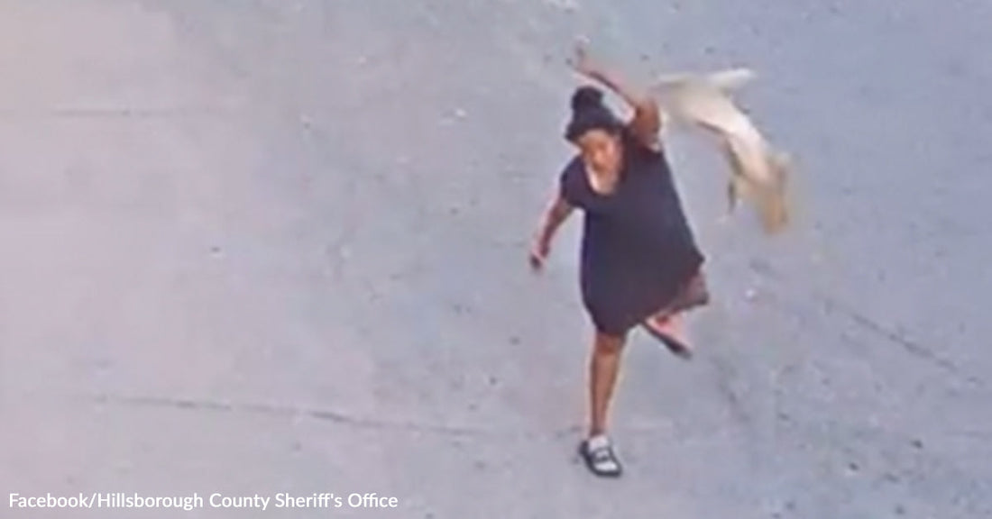 Surveillance-style image shows a person running across pavement while carrying a small light-colored dog.