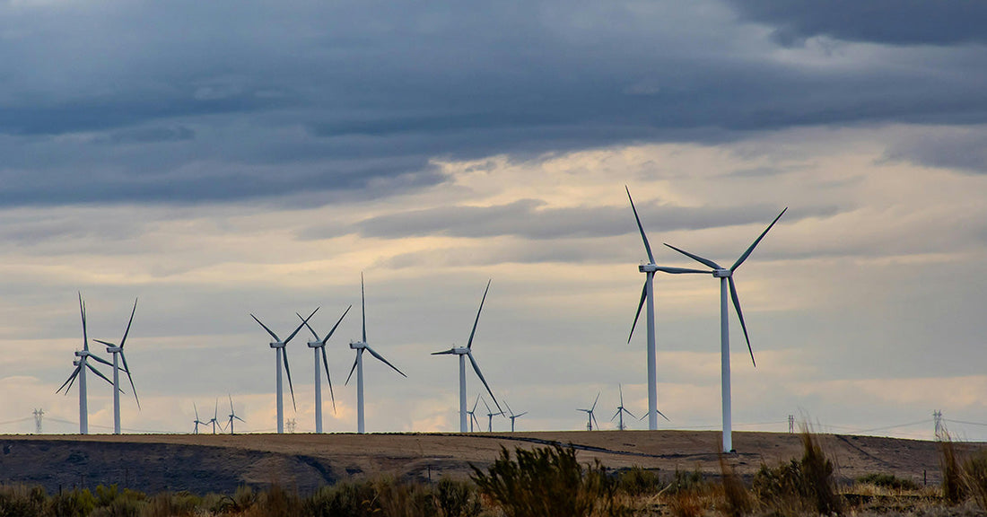 Wind turbines stand against a cloudy sky on a grassy landscape.