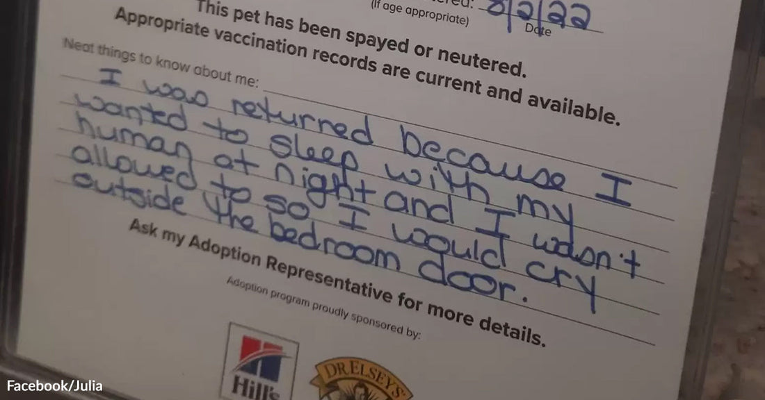Close-up of a handwritten pet note saying the cat was returned because it wanted to sleep with its human at night.