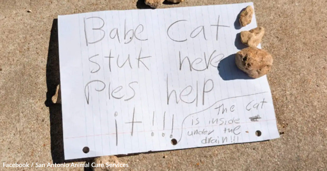 Note on paper reads: "Baby cat stuck here, please help! The cat is under the drain."