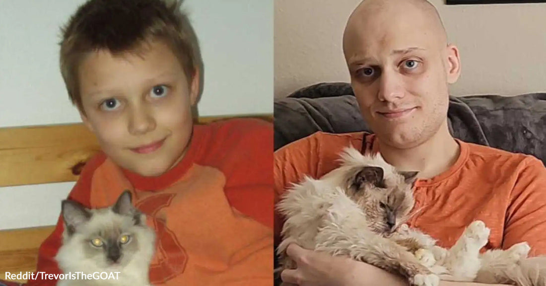 Split image showing a young boy holding a fluffy gray-and-white cat on a bed, next to an adult man holding what appears to be the same cat years later on a couch.