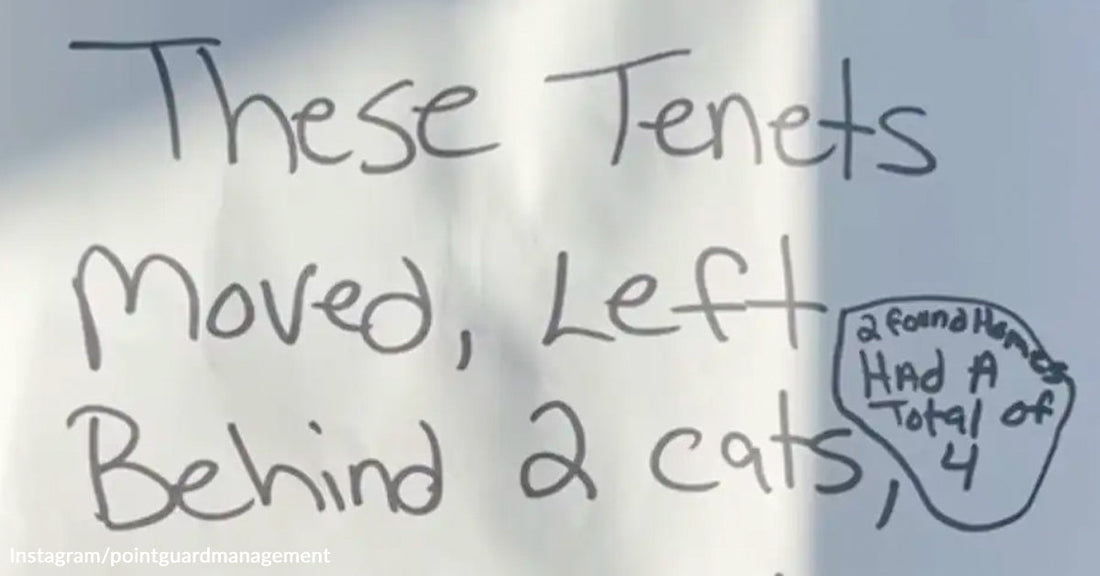 A handwritten sign reads “These tenants moved, left behind 2 cats,” with a small note adding that four animals were found.