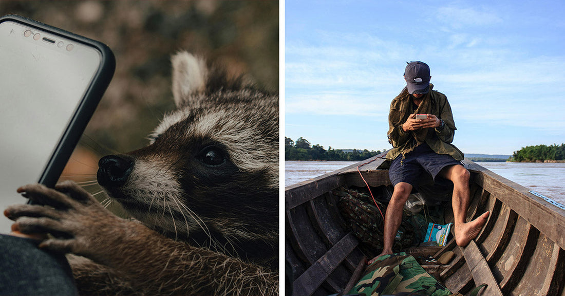 More Than Selfies in Your Pocket—Your Cell Phone’s Secret Life as a Wildlife Lifeline