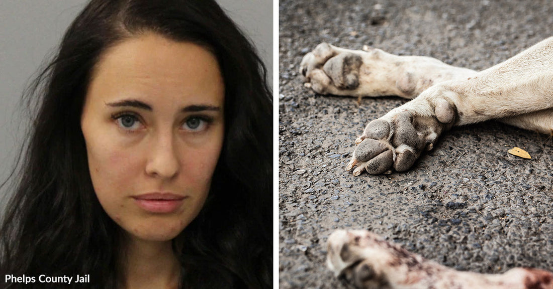 Split image showing a mugshot of a dark-haired woman beside a close-up of a dead dog’s paws lying on pavement.