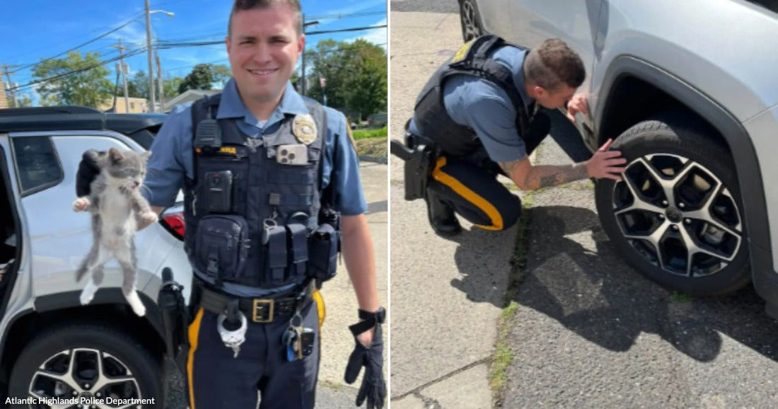 On the left, a uniformed officer holds a small gray-and-white kitten aloft outdoors near a vehicle; on the right, the same officer crouches to inspect a car's tire.