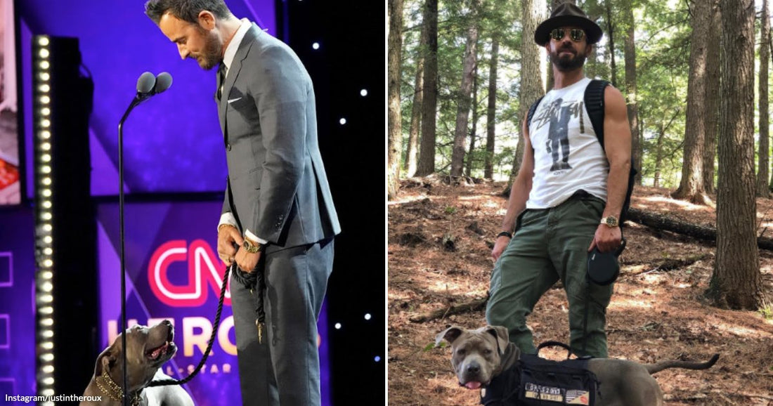 On the left, a suited man holds a dog's leash on a CNN Heroes stage; on the right, the same man and dog pose in a forest.