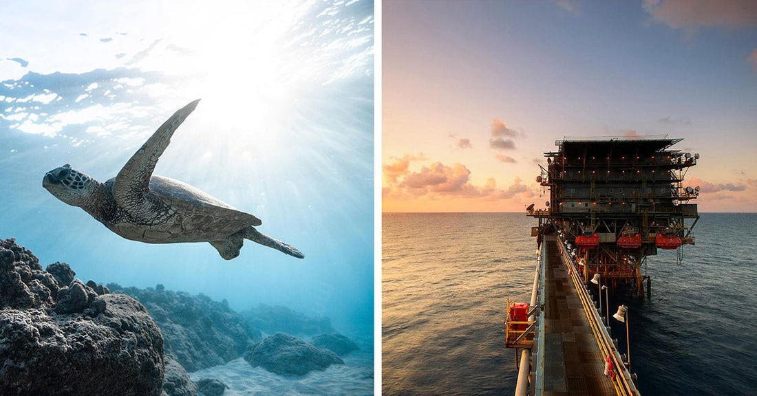 Global Tensions Rise Over U.S. Push to Mine the Ocean Floor