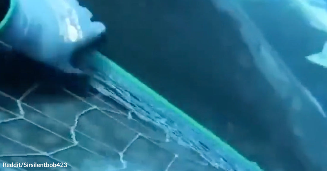 A large whale is seen underwater with fishing net tangled around its body near broken ice.