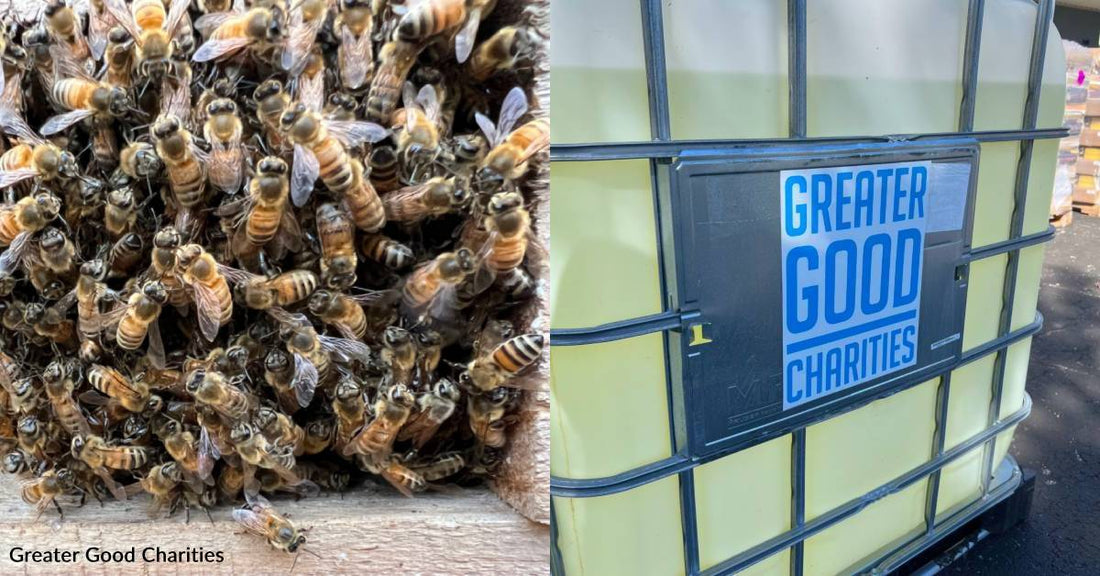 Why Beekeepers Are 'The Forgotten Farmer', And What You Can Do to Help Them