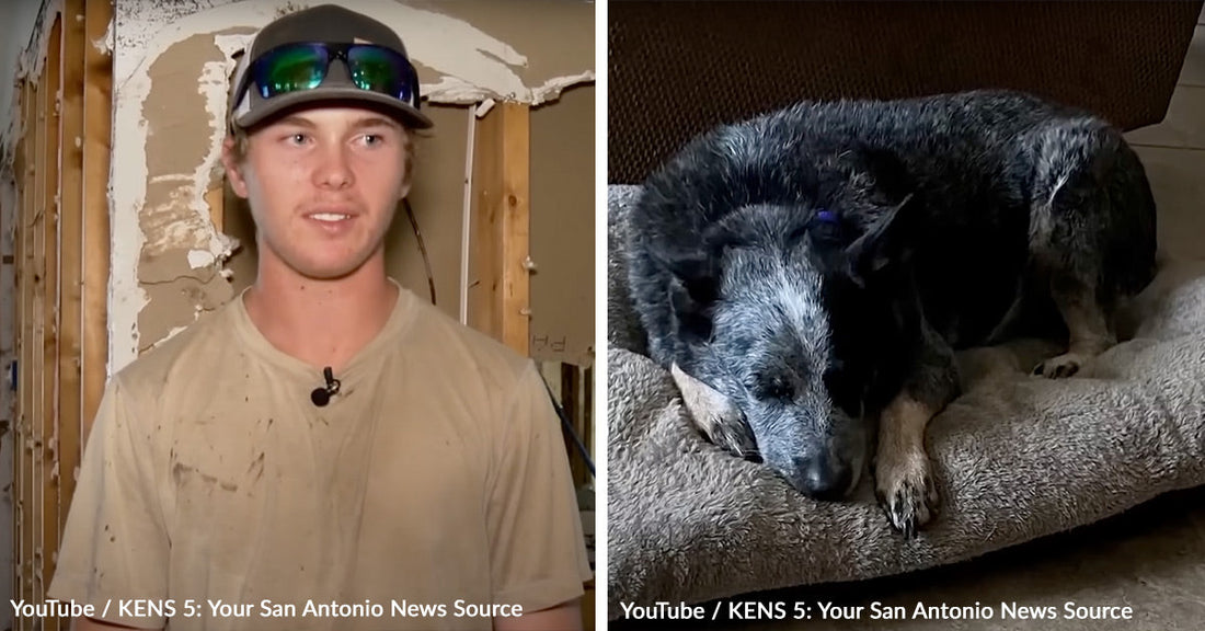 Miracle Reunion As Family Dog Found Hiding In Washing Machine During Texas Floods