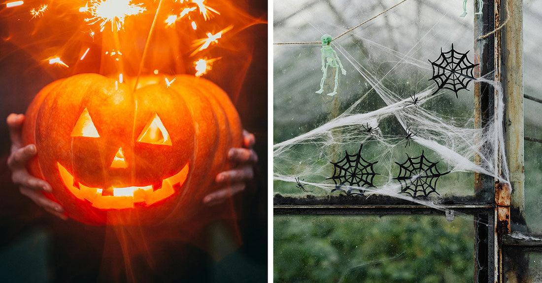 Side-by-side photos, one of a glowing jack-o’-lantern with sparklers on top, and the other of a window decorated with cobwebs, spiders, and hanging skeletons.