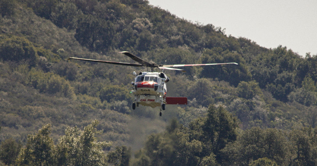 Boy Scout Cody Clawson’s Yellowstone Rescue by Harrison Ford’s Heroism