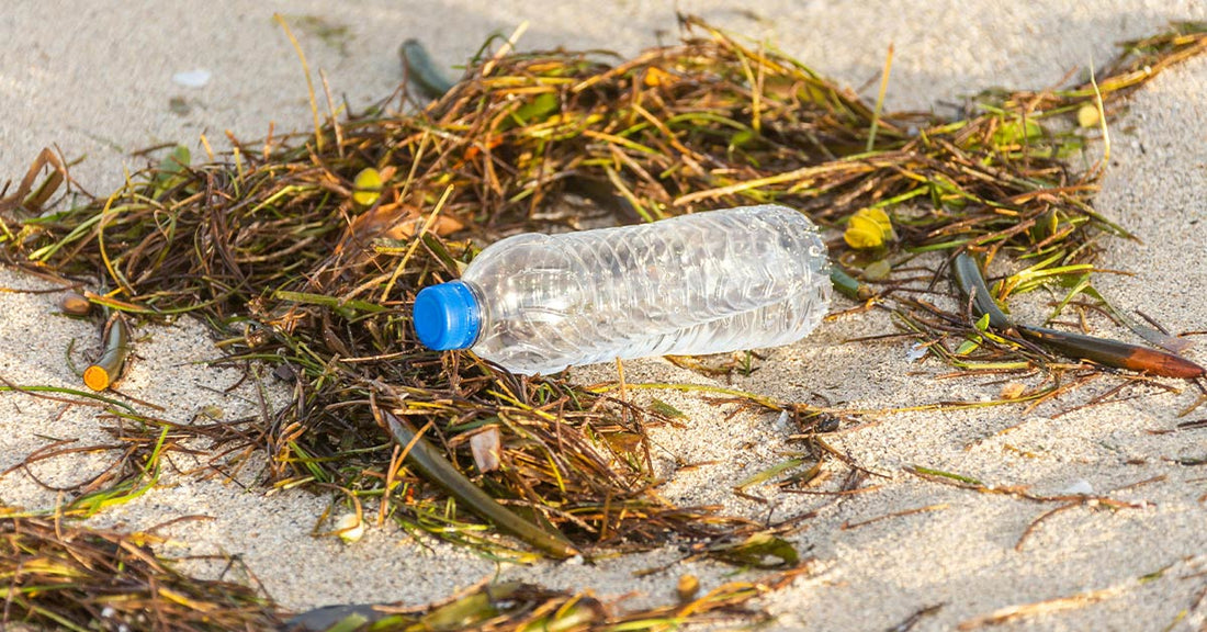 New Plastic Breakthrough Turns Pollution into Plant Food