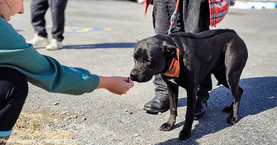 Pet Owners Impacted by Devastating Kentucky Floods Receive Much-Needed Pet Food
