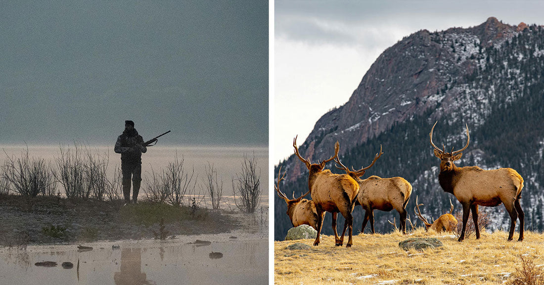 Arizona Hunting Guide In Federal Prison for Orchestrating Widespread Wildlife Crimes