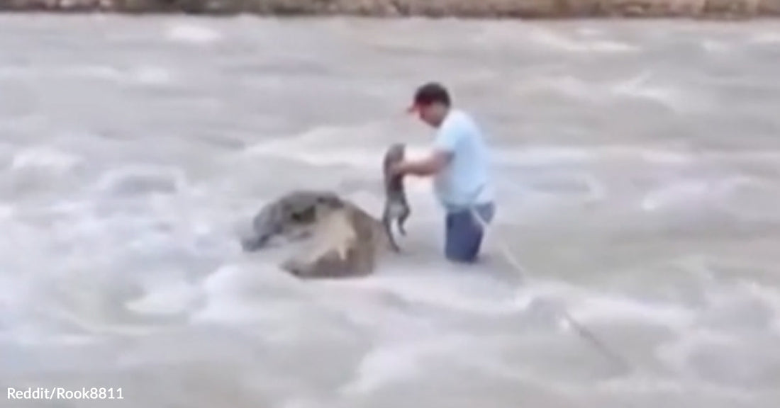 A man wades through rushing water while lifting a small animal to keep it out of the flood.