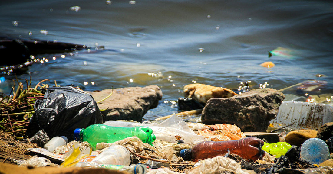 Mine Dumping and Garbage Leave Marine Life Fighting to Survive