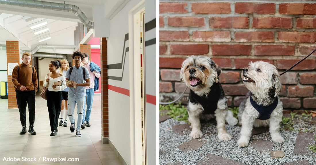High Schoolers Unleash Pure Joy with Canine-Fueled Senior Prank