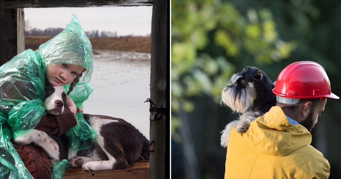On the left, a young girl in a green plastic raincoat hugs a brown and white dog during a flood; on the right, a bearded worker in a red hard.