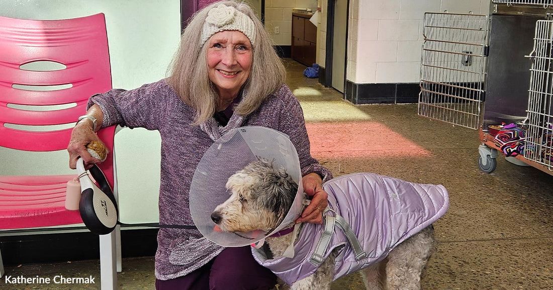 After Loss Stole Everything a Rescued Dog Gave Her a Reason to Stay