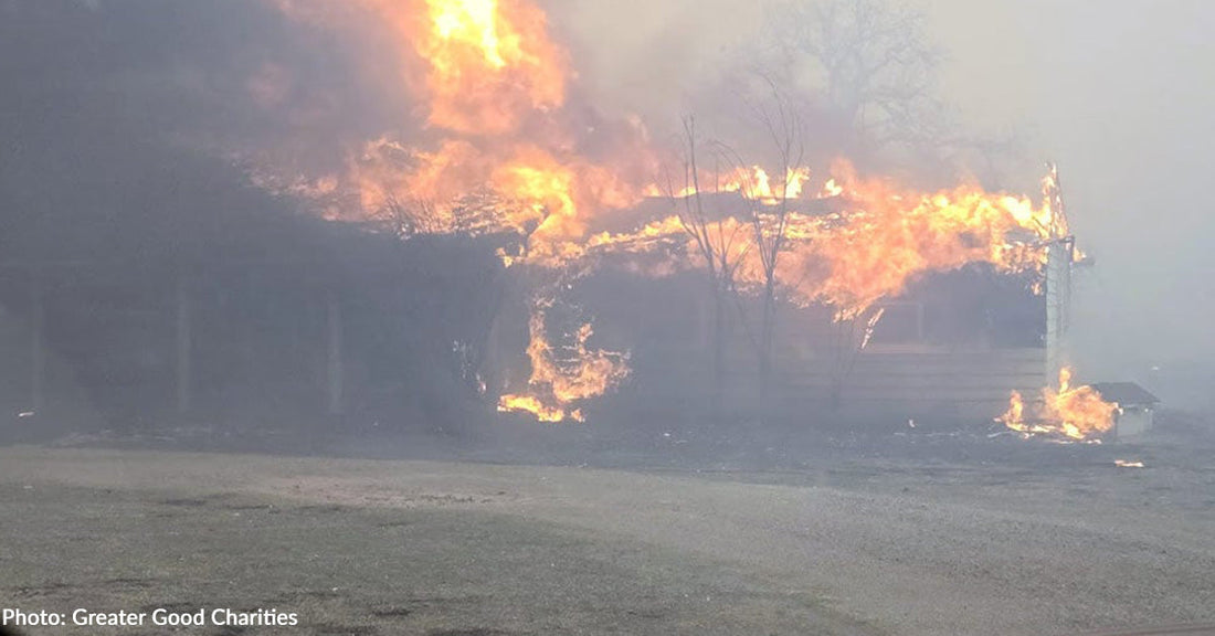 Deadly Wildfires and Tornadoes Sweep Across the South and Midwest, People & Pets Need Our Help