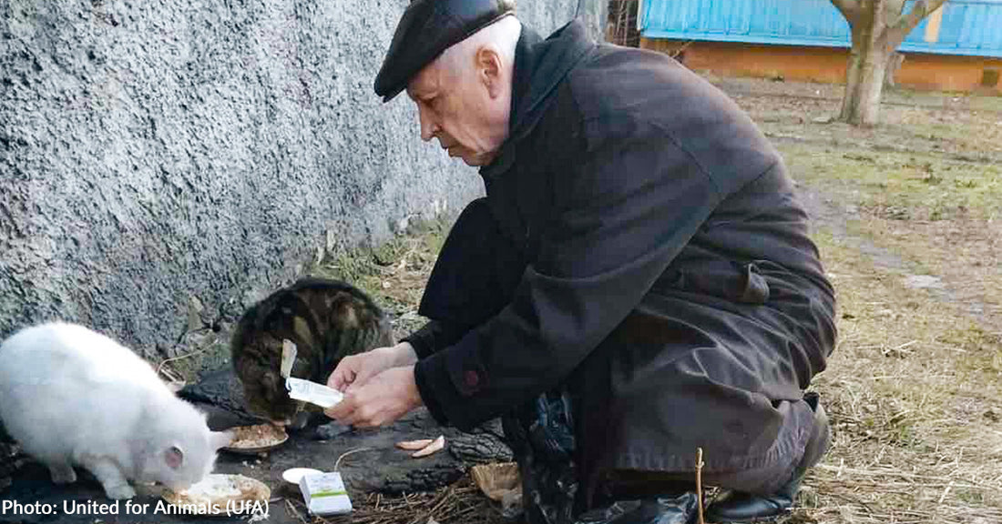 Elderly Ukraine Man Devotes His Days To Feeding Homeless Animals