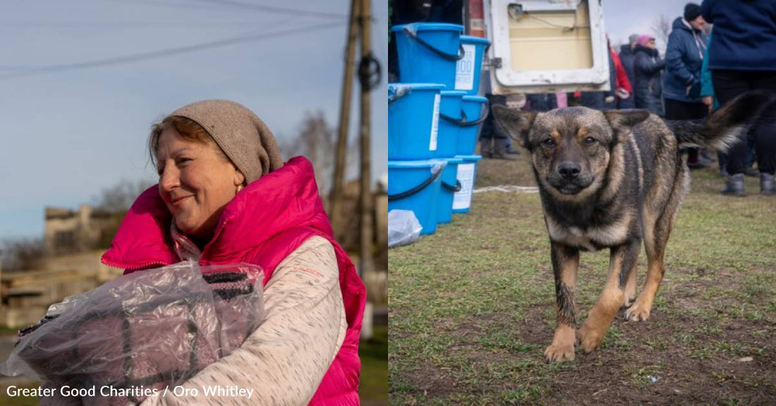 You Helped Keep Ukrainians Warm This Winter, Amid Targeted Electricity Attacks