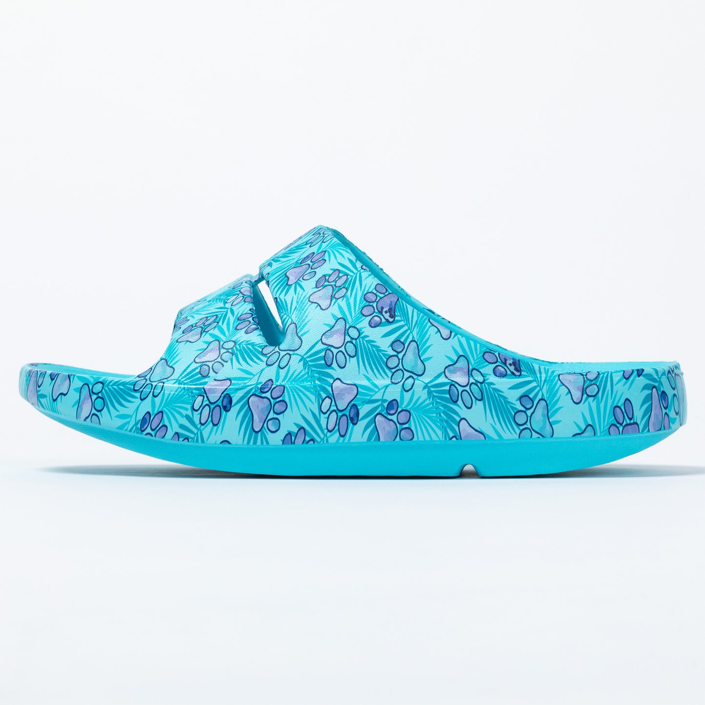 Blue sandal with paw print pattern on a white background