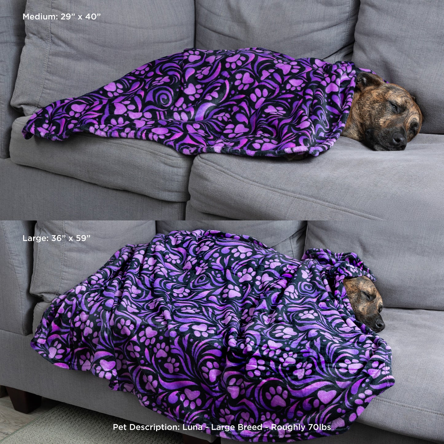 Dog wrapped in a purple paw patterned blanket on a gray couch with size labels.