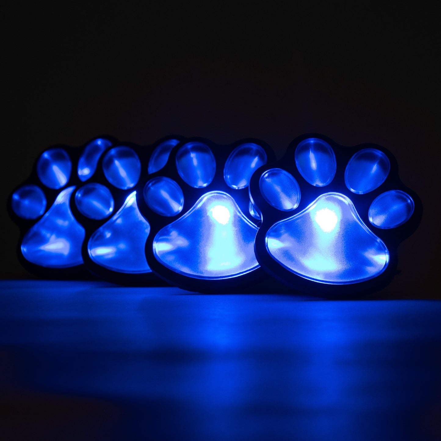 Paw Print Solar Ground Lights - Set of 4