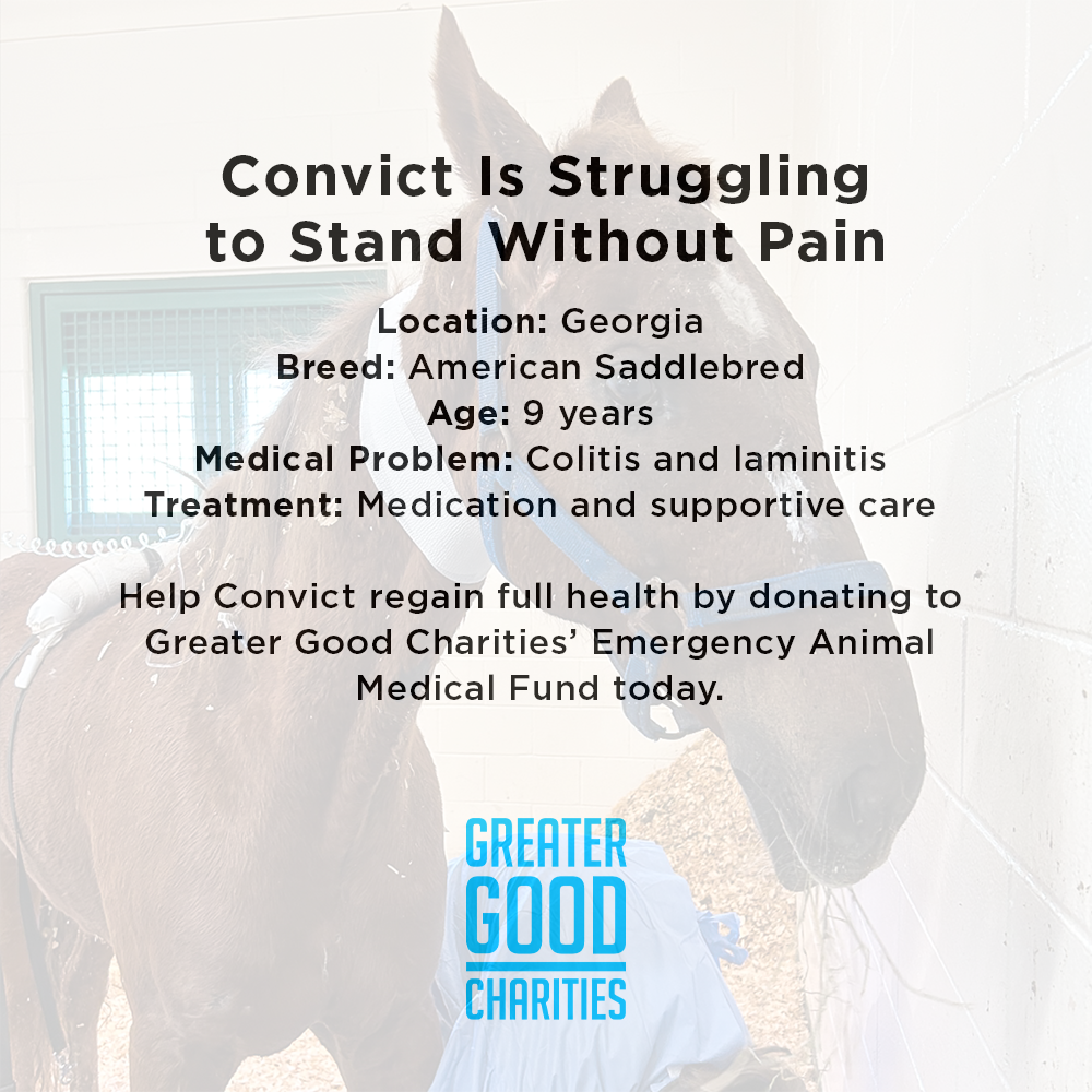 Convict Unable to Walk or Stand Without Excruciating Pain Needs Your Help