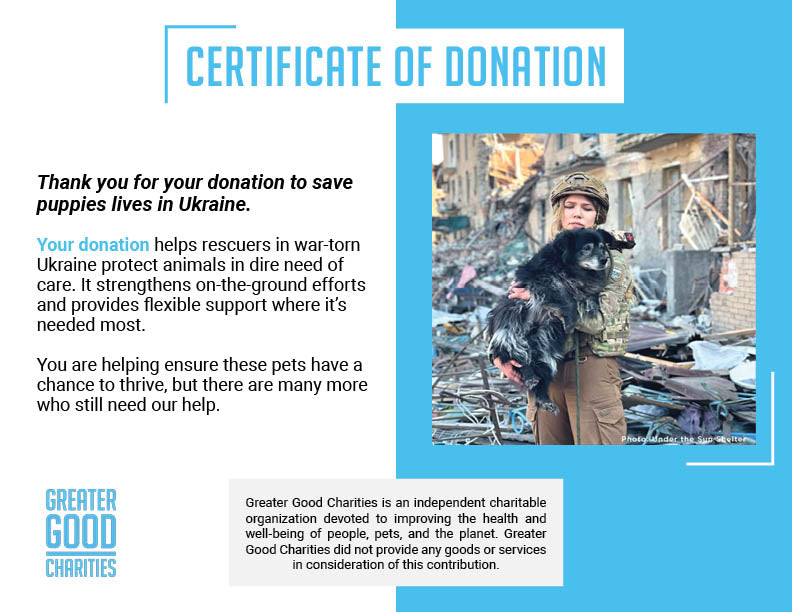 Crisis in Ukraine: Help Evacuate Pets From the Frontlines