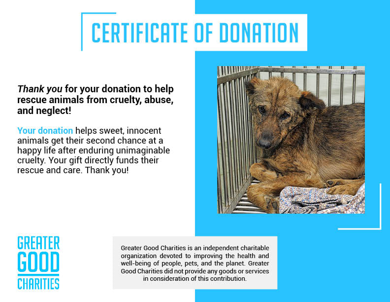 Save Pets' Lives After Major Cases of Abuse and Neglect