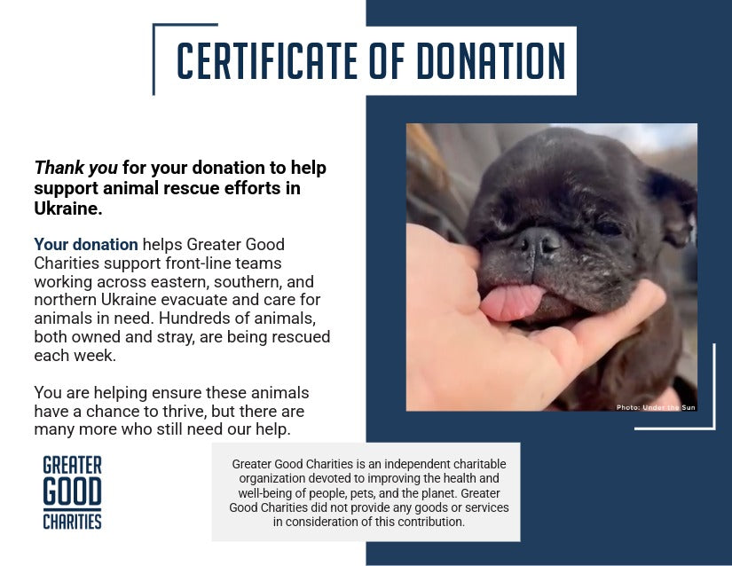 Funded: Care for Neglected Senior Pug Rescued from Horrifying Breeding Farm