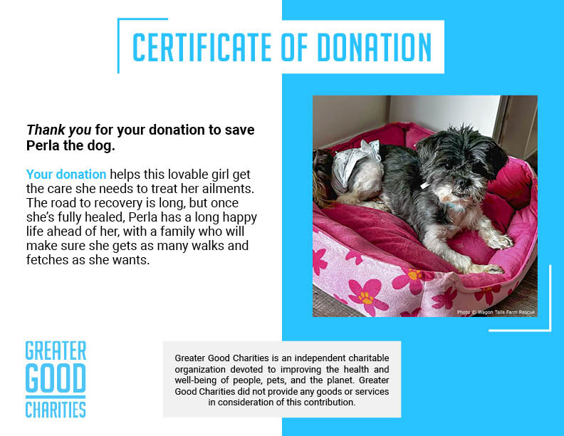 Funded: Help Perla Heal From Kidney Stones and Dental Disease