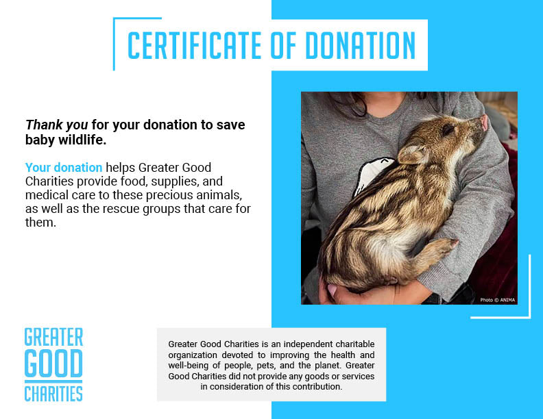 Help Provide Lifesaving Care to Orphaned and Injured Baby Wildlife