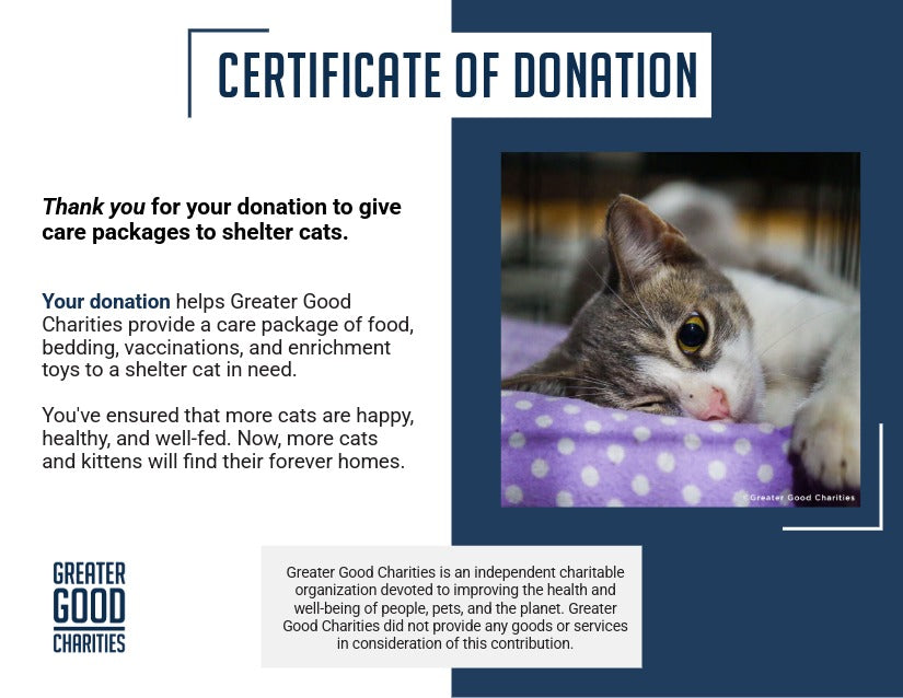 Care Packages for Shelter Cats