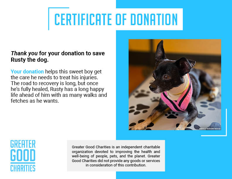 Support Rusty's Recovery After Gruesome Animal Attack