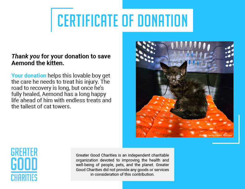 Funded: Aemond Cannot See Due to Severe Eye Infections and Needs Your Help to Heal