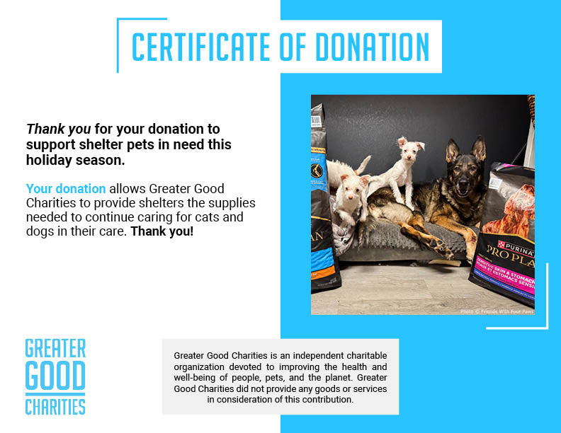 Send a Care Package to a Shelter Pet