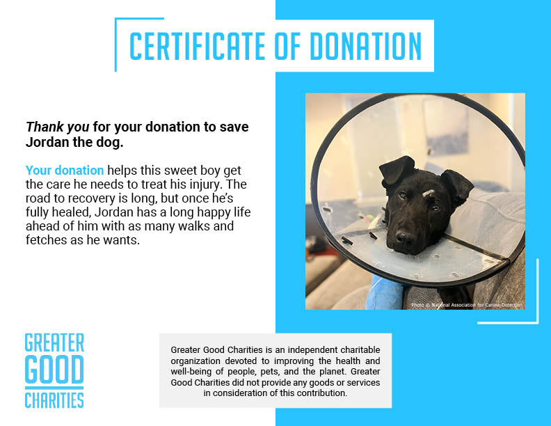 Funded: Service Dog in Training Severely Injures Leg and Needs Extensive Care to Heal