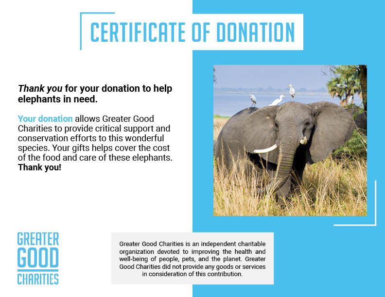 Save Elephants from Starvation